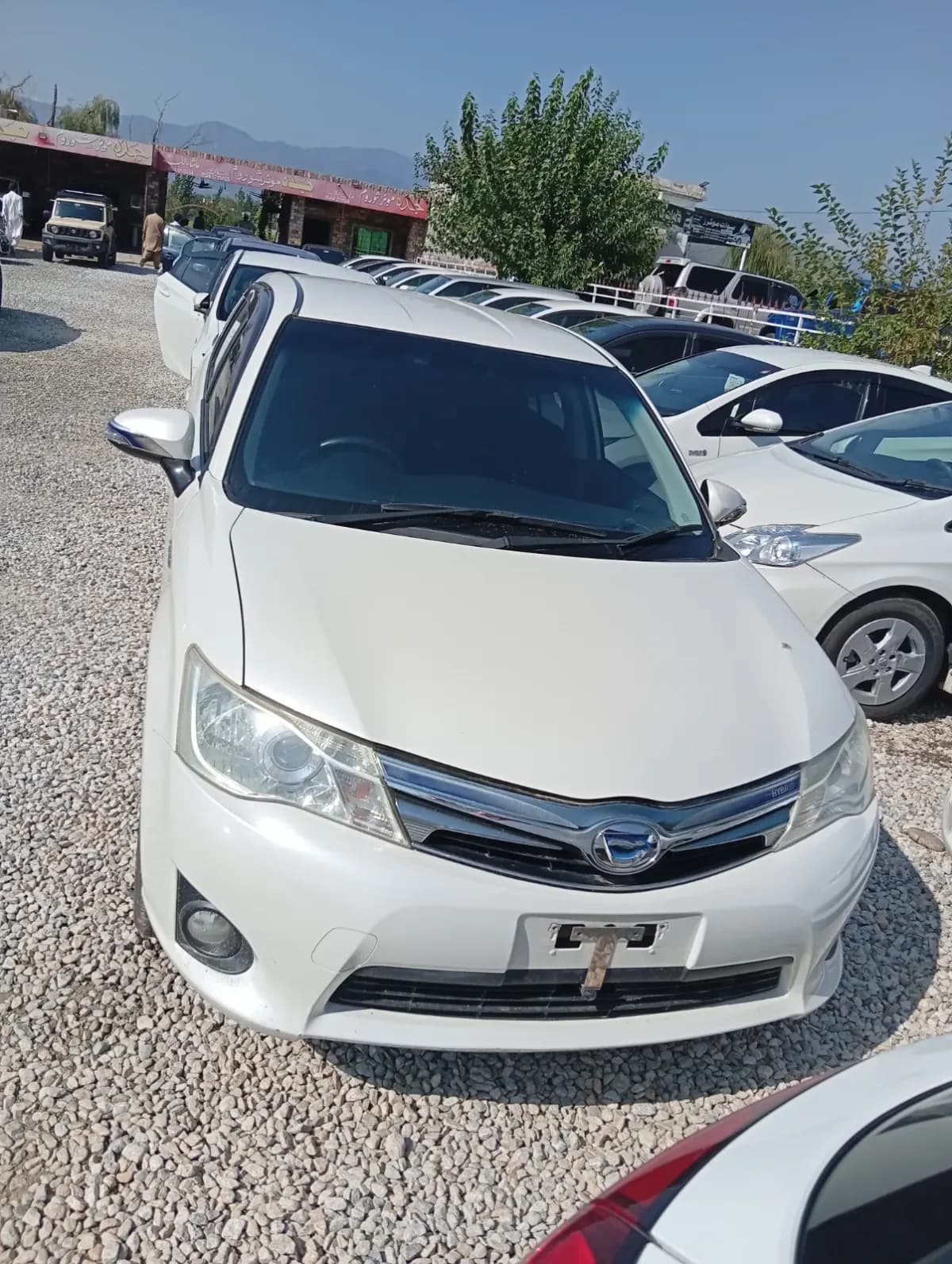 Toyota Corolla G-fielder 2019 — photo 1