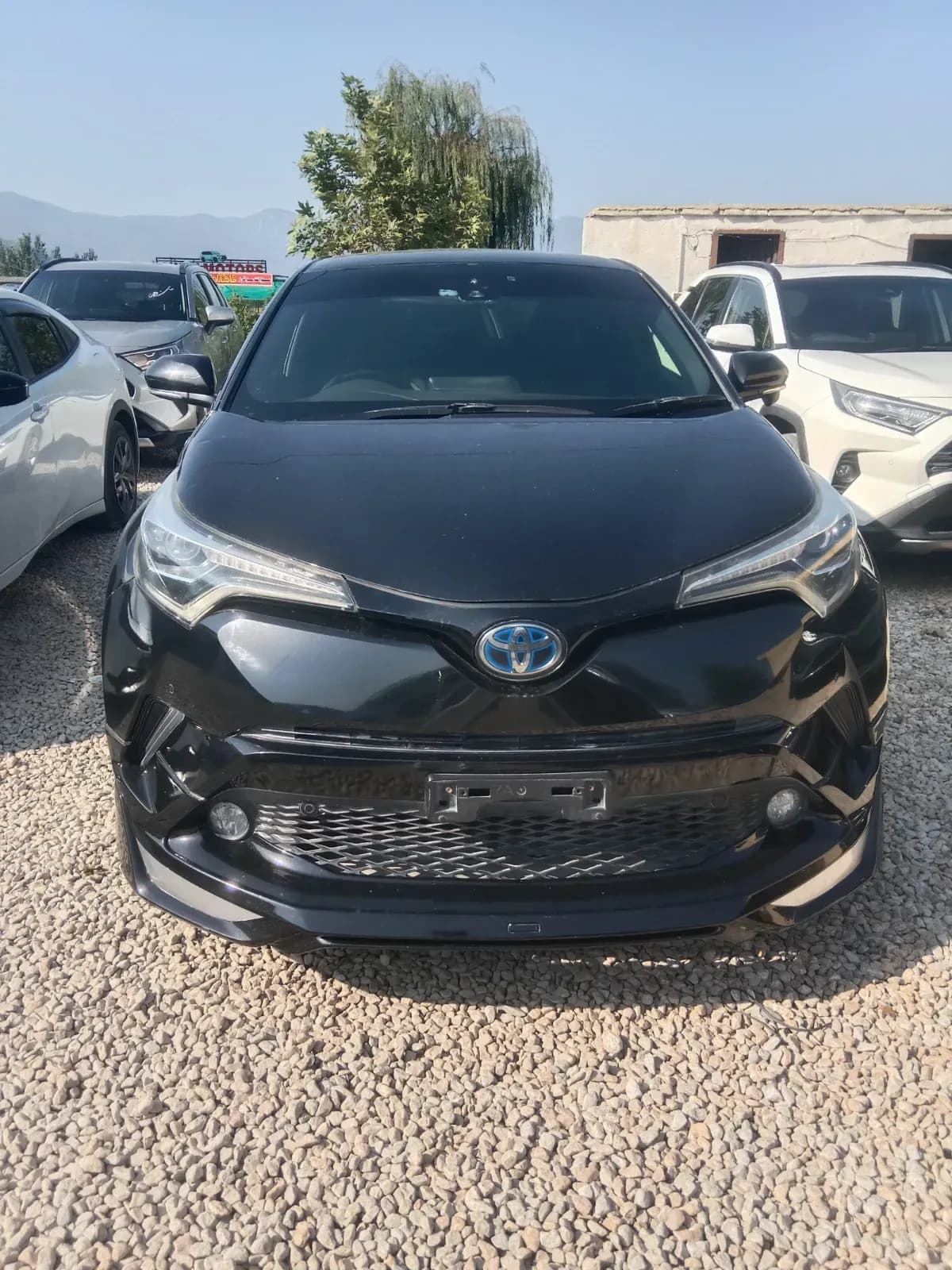 Toyota C-HR 2017 — photo 1