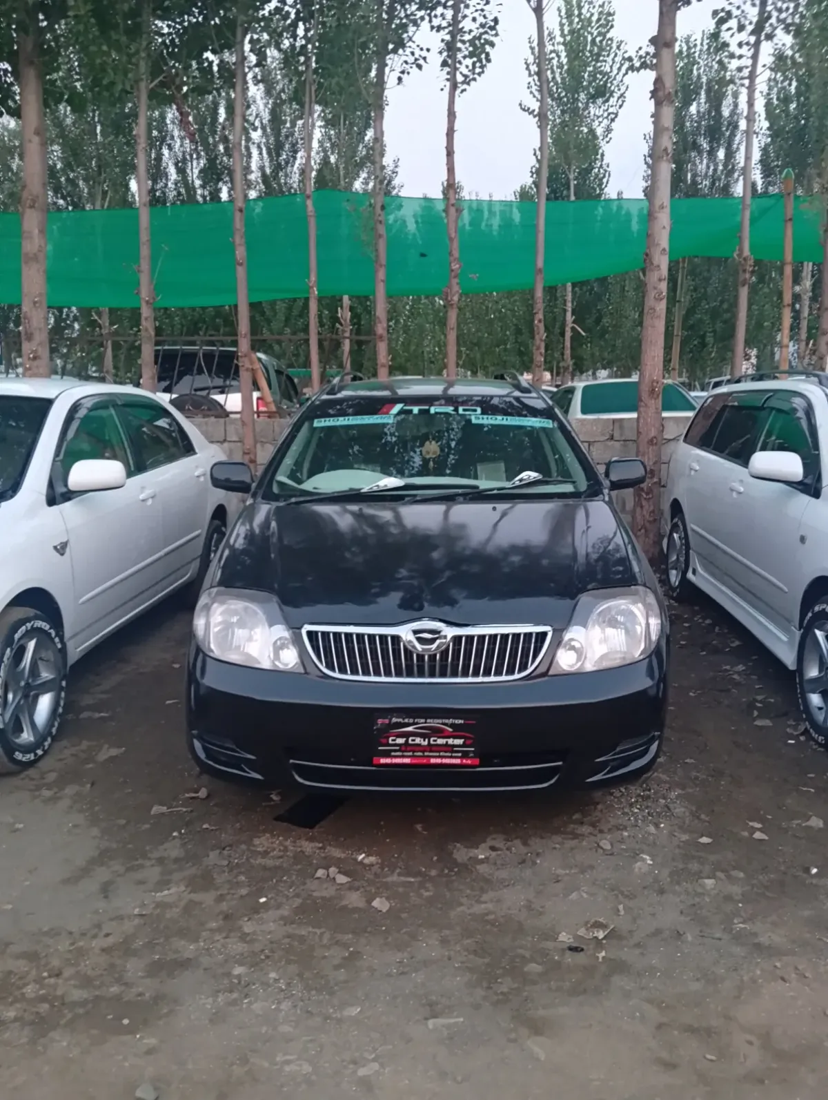 Toyota Corolla fielder X 2003 — photo 1