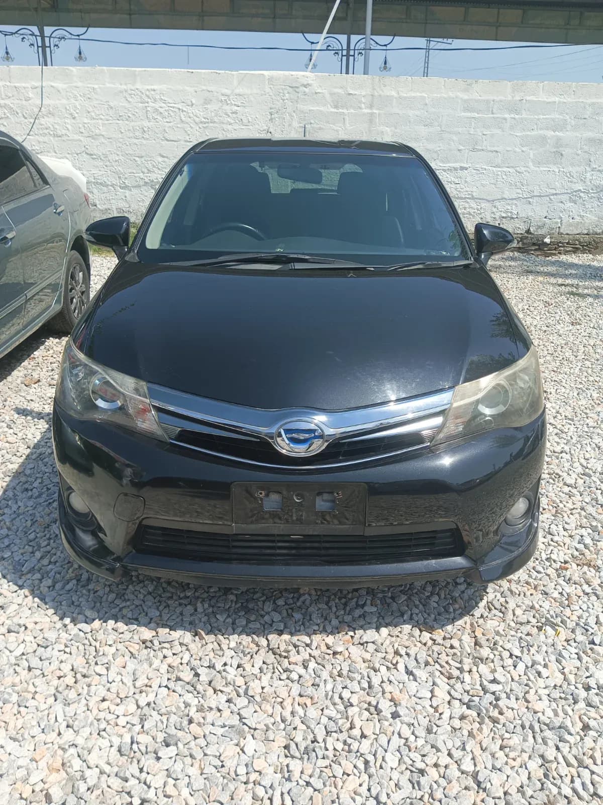 Toyota Corolla fielder WxB 2019 — photo 1