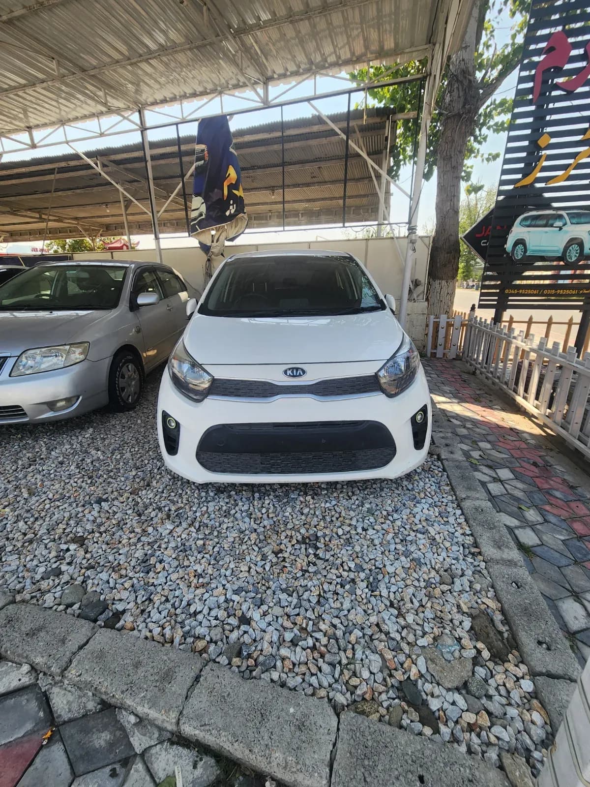 Kia Picanto 2020 — photo 1