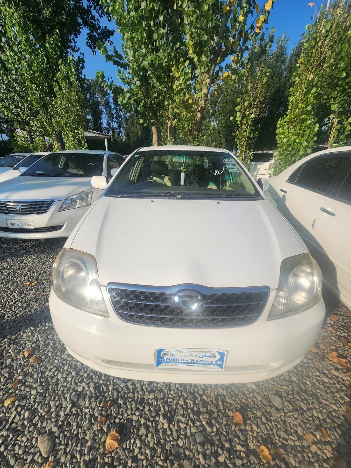 Toyota corolla g 2002 — photo 1