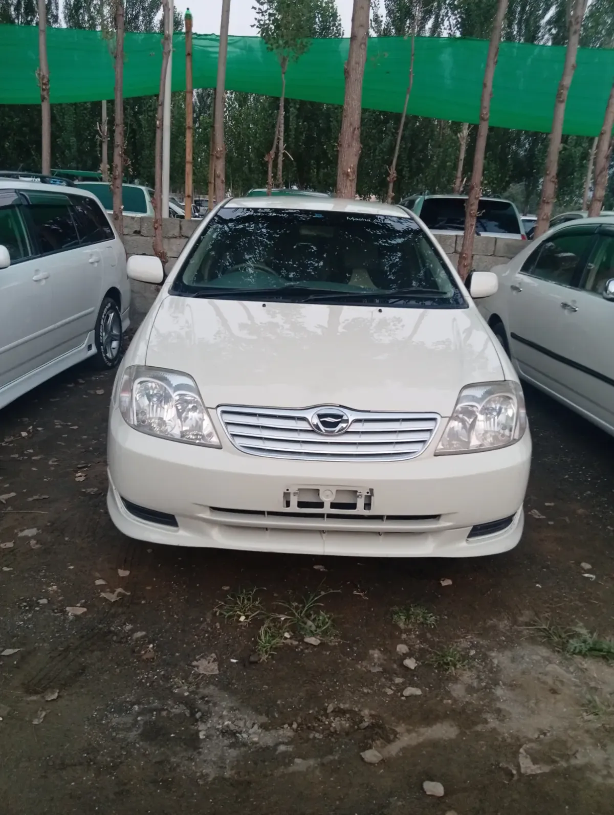 Toyota Corolla G 2001 — photo 1