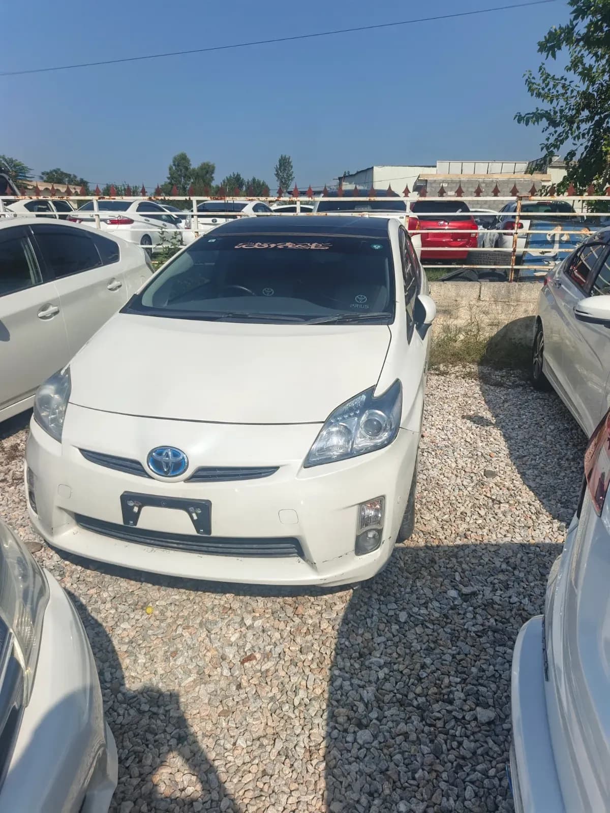 Toyota Prius 2011 — photo 1
