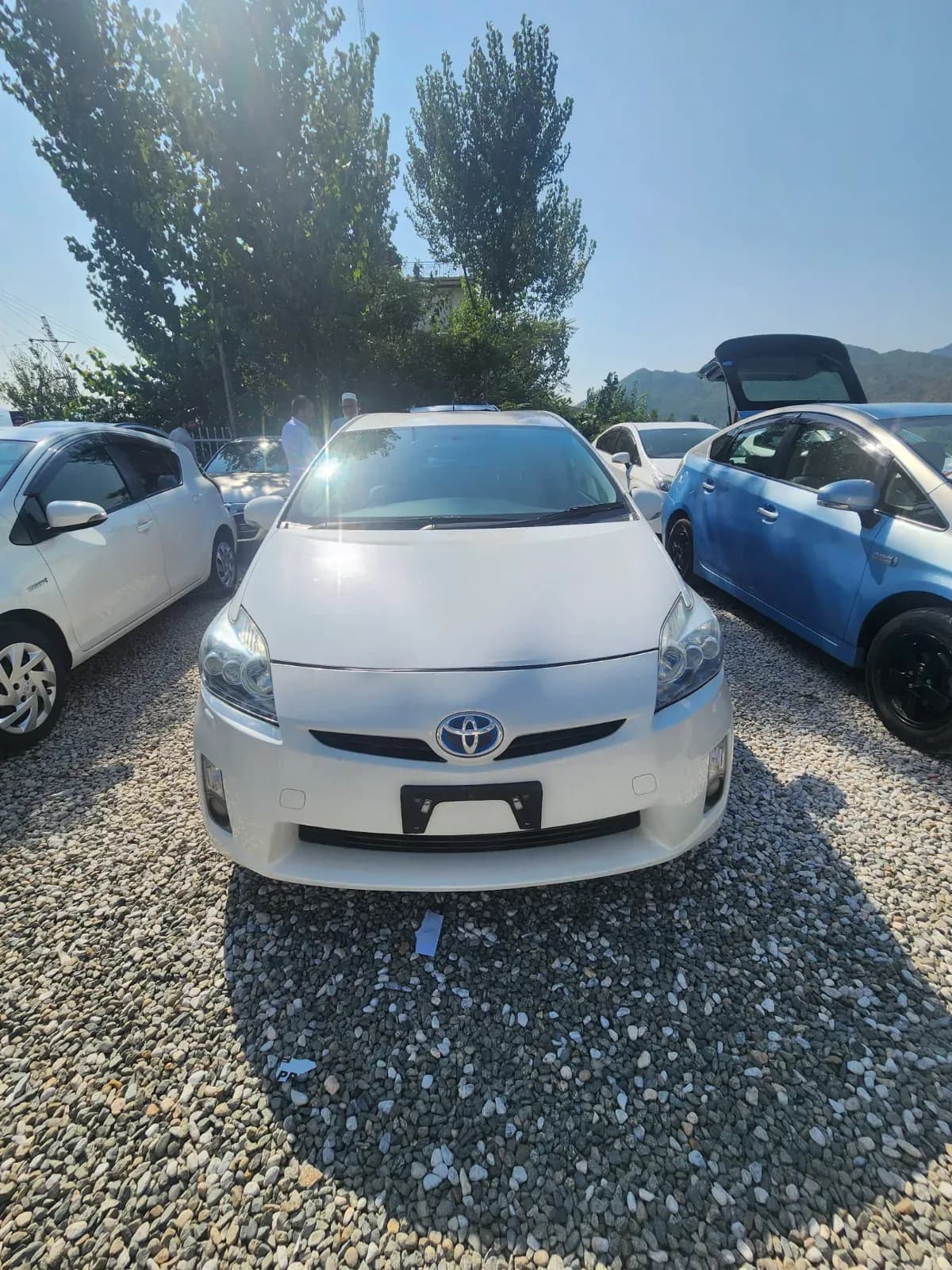 Toyota Prius 2010 — photo 1