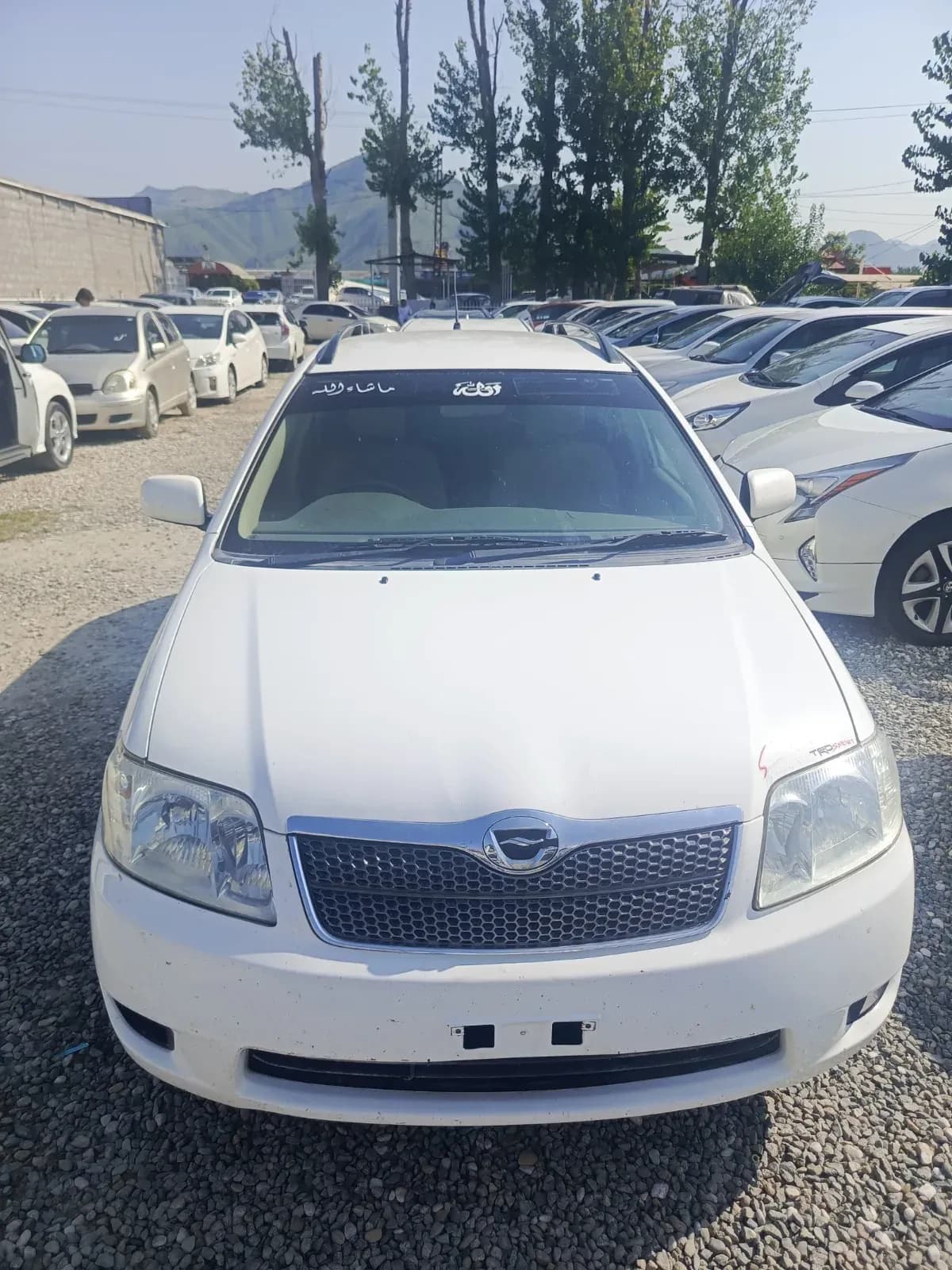 Toyota Corolla fielder 2005 — photo 1