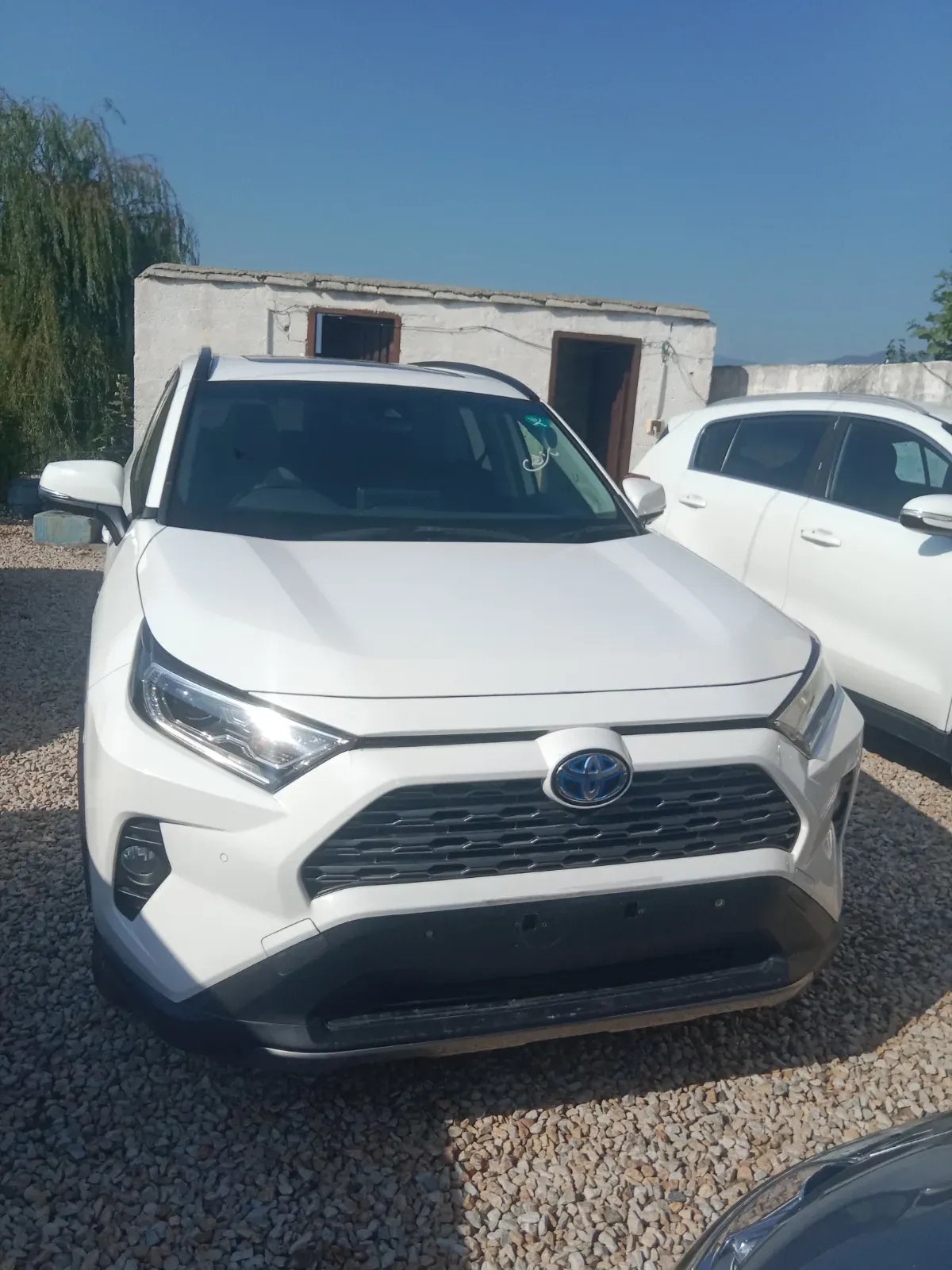 Toyota RAV4 2020 — photo 1