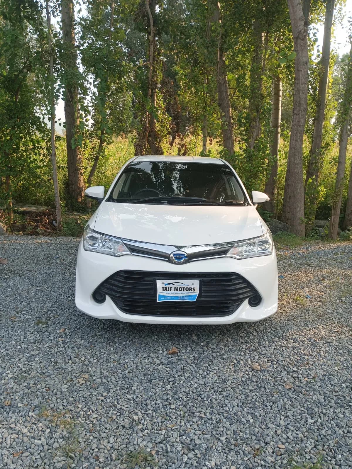 Toyota Axio Fielder Hybrid 2016 — photo 1