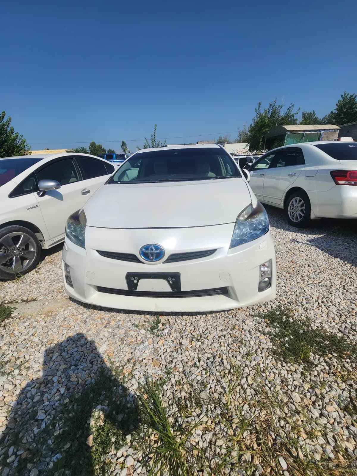 Toyota Prius 2010 — photo 1
